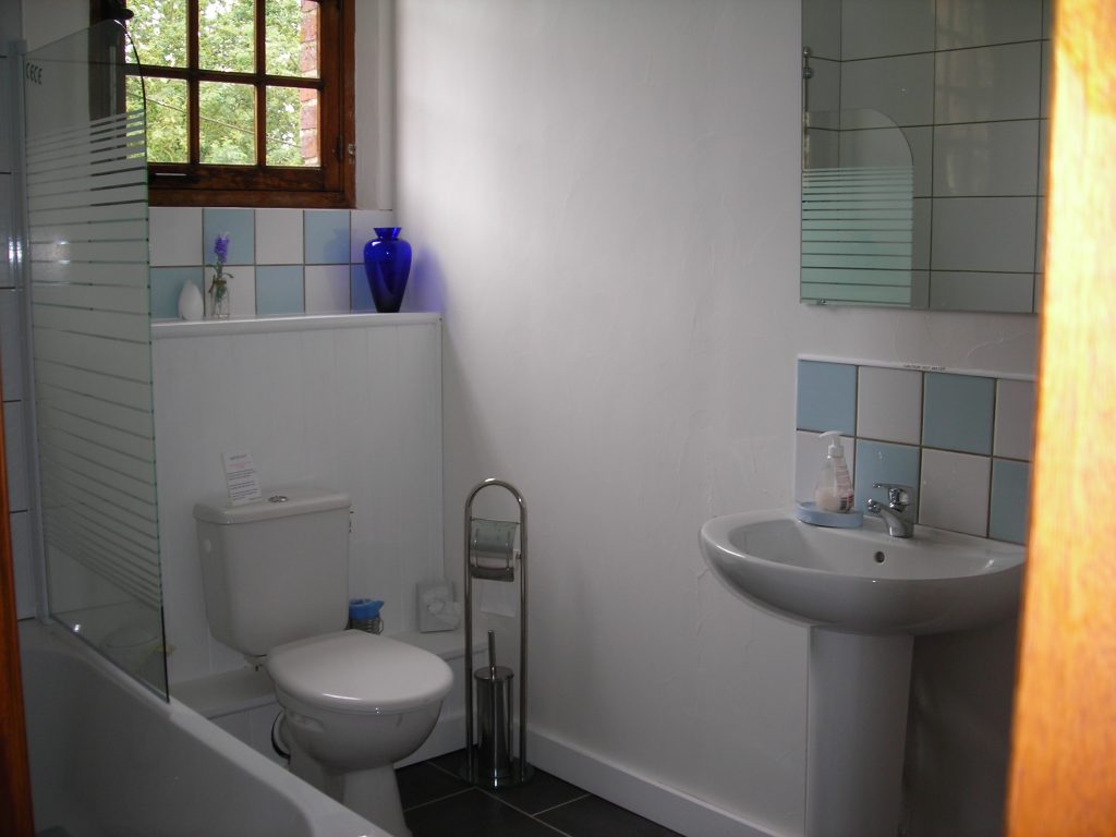 Blue room bathroom