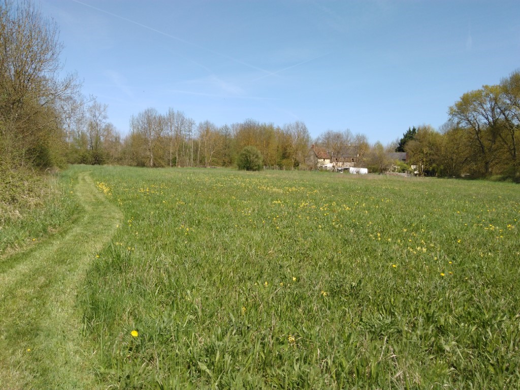 Walking fields