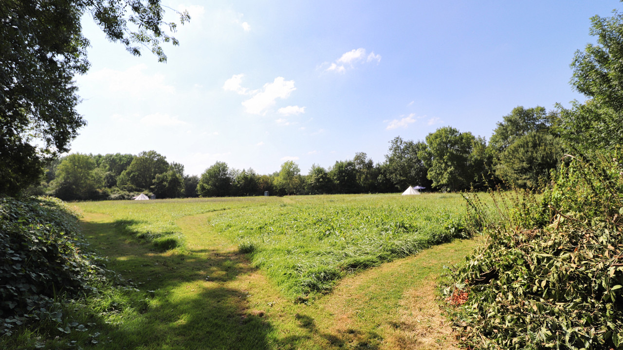 Glamping fields
