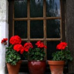 get out and about or stay at the moulin