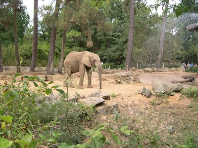 Zoo de la Fleche